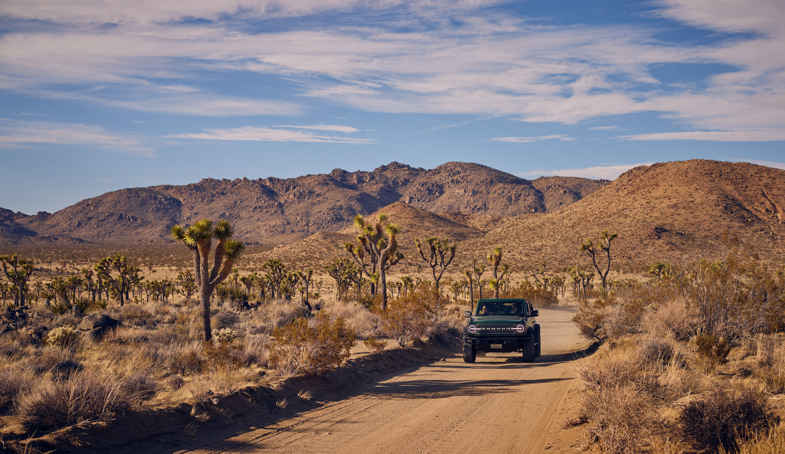 Road trip through Joshua Tree National Park